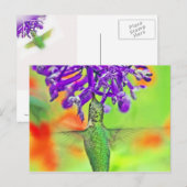 Hummingbird, recht omhoog briefkaart (Voorkant / Achterkant)