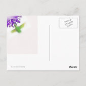 Hummingbird, recht omhoog briefkaart (Achterkant)