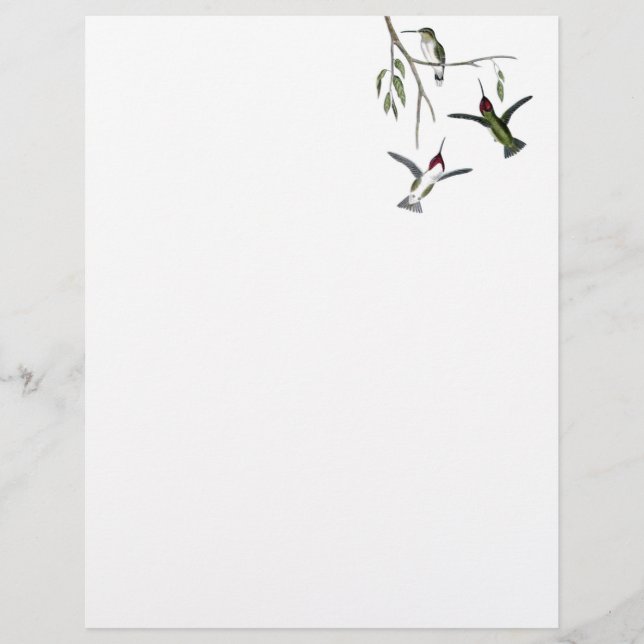 Hummingbird Recycled Letterhead (Voorkant)