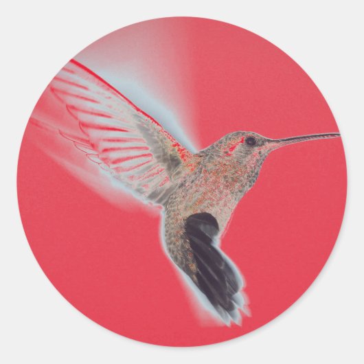 HUMMINGBIRD RED Sticker (Voorkant)