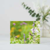 Hummingbird Rest Briefkaart (Staand voorkant)