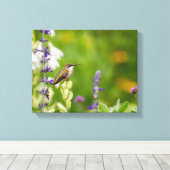 Hummingbird Rest Canvas Afdruk (Insitu (Houten vloer))