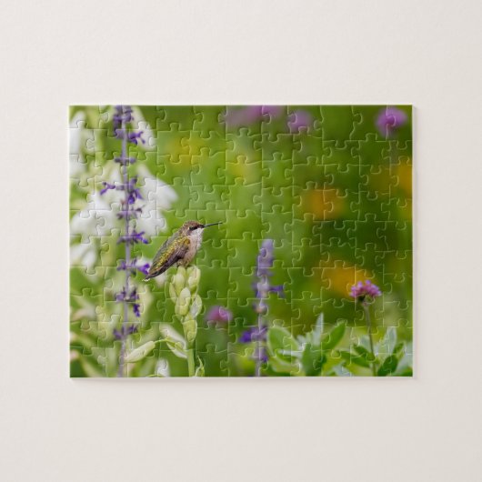 Hummingbird Rest Legpuzzel (Horizontaal)