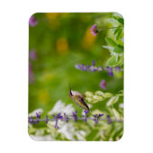 Hummingbird Rest Magneet (Verticaal)