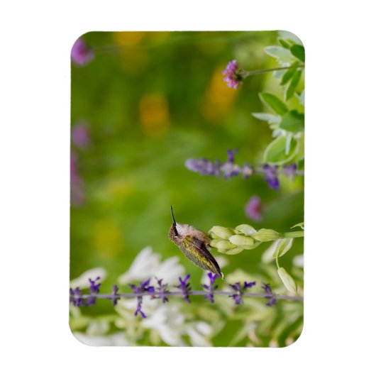 Hummingbird Rest Magneet (Verticaal)