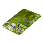 Hummingbird Rest Magneet (Linkerzijde)