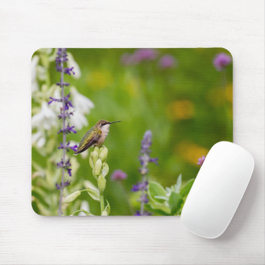Hummingbird Rest Muismat (Met muis)
