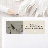 Hummingbird Return Address Labels (Insitu)