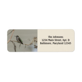 Hummingbird Return Address Labels