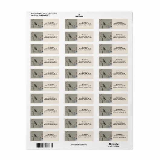 Hummingbird Return Address Labels (Full Sheet)