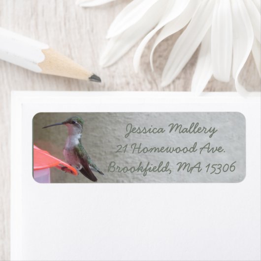 Hummingbird Return Label (Insitu)