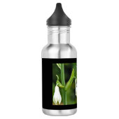 Hummingbird Roestvrij stalen flesje Waterfles (Links)