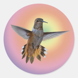 HUMMINGBIRD RONDE STICKER