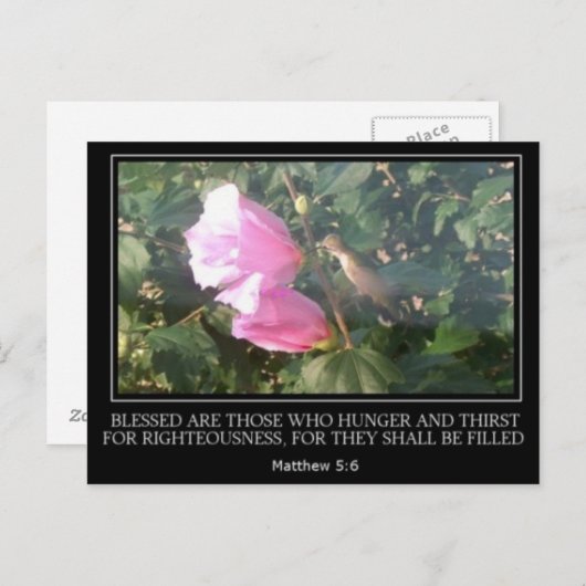 Hummingbird & Roos van Sharon Scripture Post Card Briefkaart (Voorkant / Achterkant)