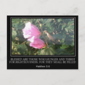 Hummingbird & Roos van Sharon Scripture Post Card Briefkaart (Voorkant)