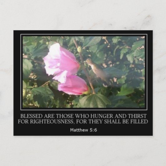 Hummingbird & Roos van Sharon Scripture Post Card Briefkaart (Voorkant)