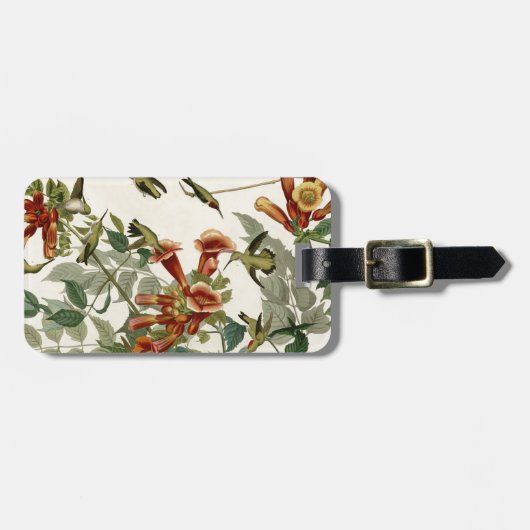 Hummingbird Ruby Throated Audubon Bagagelabel (Voorkant horizontaal)