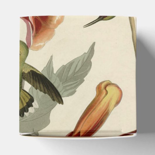 Hummingbird Ruby Throated Audubon Bedankdoosjes (Bovenkant)