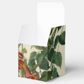 Hummingbird Ruby Throated Audubon Bedankdoosjes (Geopend)