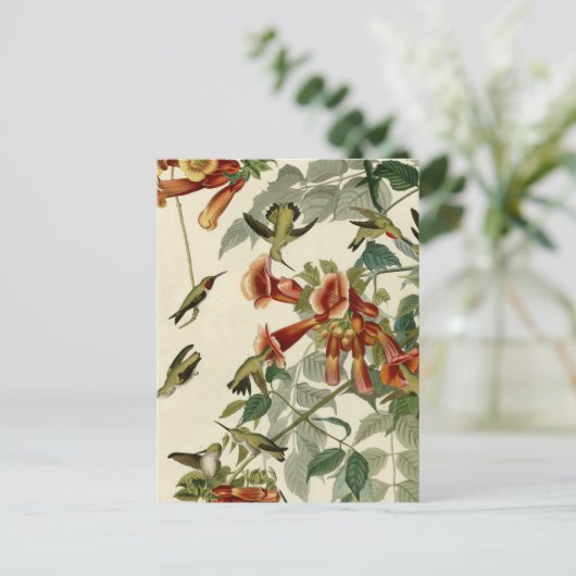 Hummingbird Ruby Throated Audubon Briefkaart (Staand voorkant)