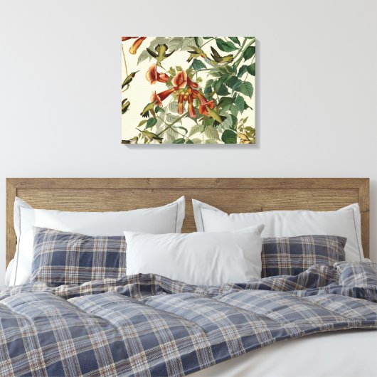 Hummingbird Ruby Throated Audubon Canvas Afdruk (Insitu (Slaapkamer))