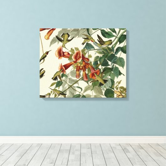 Hummingbird Ruby Throated Audubon Canvas Afdruk (Insitu (Houten vloer))
