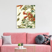 Hummingbird Ruby Throated Audubon Canvas Afdruk (Insitu (Woonkamer))