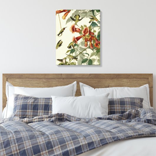 Hummingbird Ruby Throated Audubon Canvas Afdruk (Insitu (Slaapkamer))