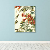 Hummingbird Ruby Throated Audubon Canvas Afdruk (Insitu (Houten vloer))