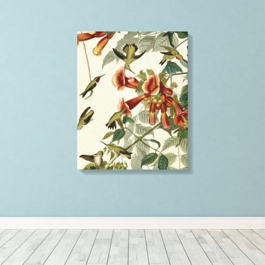 Hummingbird Ruby Throated Audubon Canvas Afdruk (Insitu (Houten vloer))