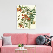 Hummingbird Ruby Throated Audubon Canvas Afdruk (Insitu (Woonkamer))