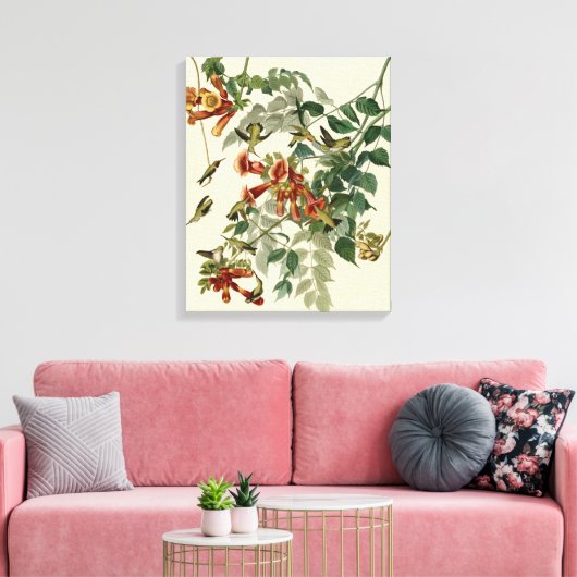 Hummingbird Ruby Throated Audubon Canvas Afdruk (Insitu (Woonkamer))