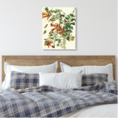 Hummingbird Ruby Throated Audubon Canvas Afdruk (Insitu (Slaapkamer))