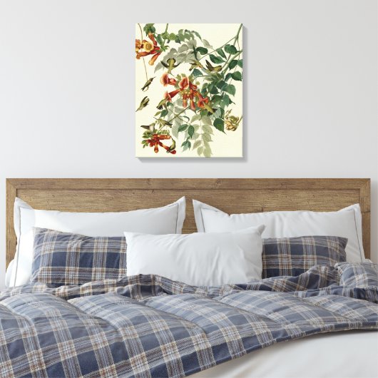 Hummingbird Ruby Throated Audubon Canvas Afdruk (Insitu (Slaapkamer))