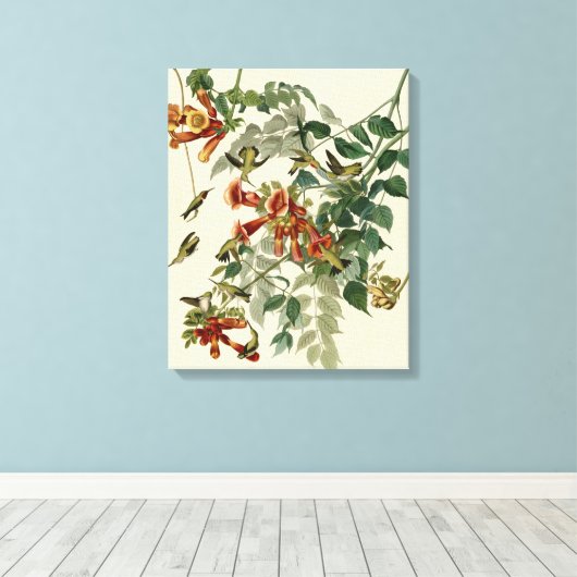 Hummingbird Ruby Throated Audubon Canvas Afdruk (Insitu (Houten vloer))