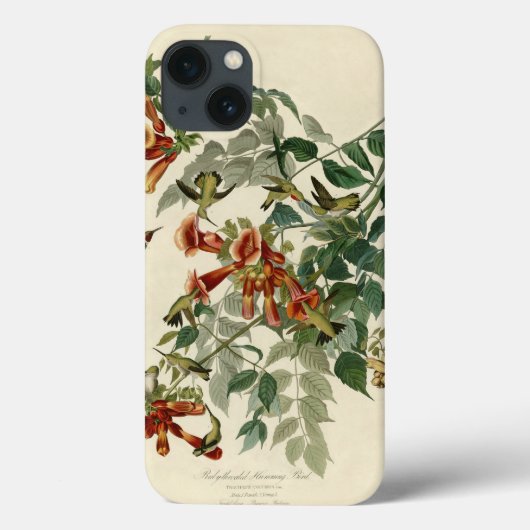 Hummingbird Ruby Throated Audubon Case-Mate iPhone Case (Achterkant)