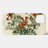 Hummingbird Ruby Throated Audubon Case-Mate iPhone Case (Achterkant (horizontaal))