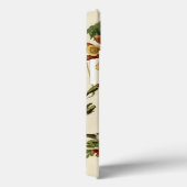 Hummingbird Ruby Throated Audubon Case-Mate iPhone Case (Achterkant / Rechts)