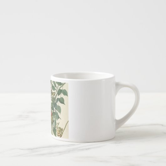 Hummingbird Ruby Throated Audubon Espresso Kop (Rechts)