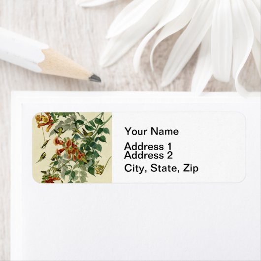 Hummingbird Ruby Throated Audubon Etiket (Insitu)