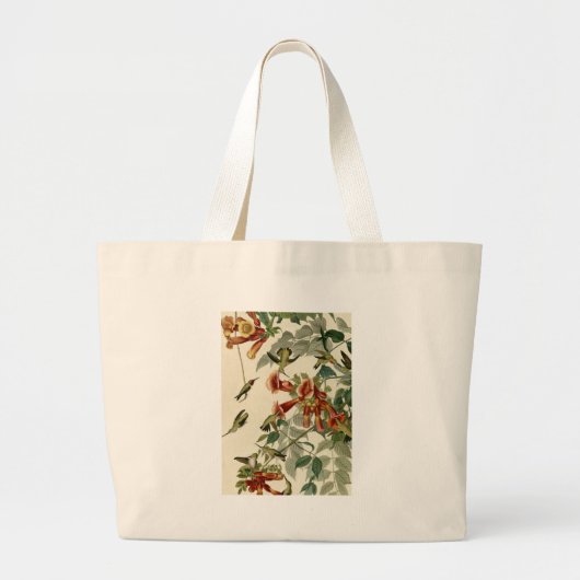 Hummingbird Ruby Throated Audubon Grote Tote Bag (Voorkant)