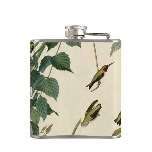 Hummingbird Ruby Throated Audubon Heupfles (Achterkant)