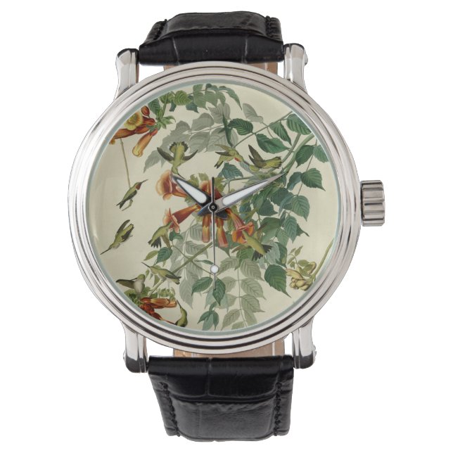 Hummingbird Ruby Throated Audubon Horloge (Voorkant)