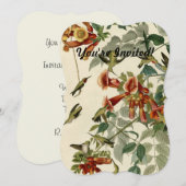 Hummingbird Ruby Throated Audubon Kaart (Voorkant / Achterkant)