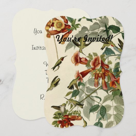 Hummingbird Ruby Throated Audubon Kaart (Voorkant / Achterkant)