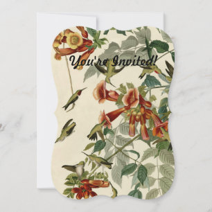 Hummingbird Ruby Throated Audubon Kaart