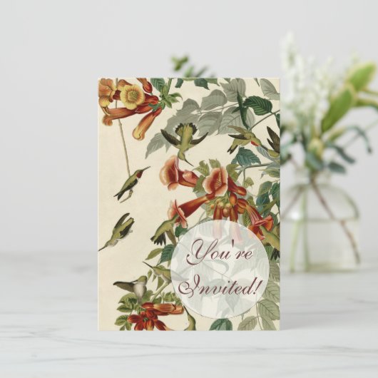 Hummingbird Ruby Throated Audubon Kaart (Staand voorkant)