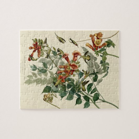 Hummingbird Ruby Throated Audubon Legpuzzel (Horizontaal)