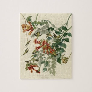 Hummingbird Ruby Throated Audubon Legpuzzel