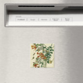 Hummingbird Ruby Throated Audubon Magneet (Insitu (Vaatwasser))